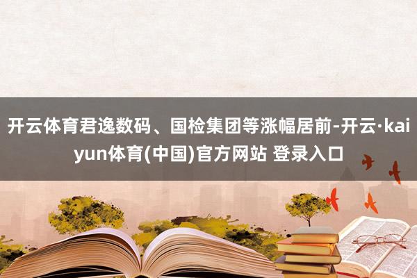 开云体育君逸数码、国检集团等涨幅居前-开云·kaiyun体育(中国)官方网站 登录入口