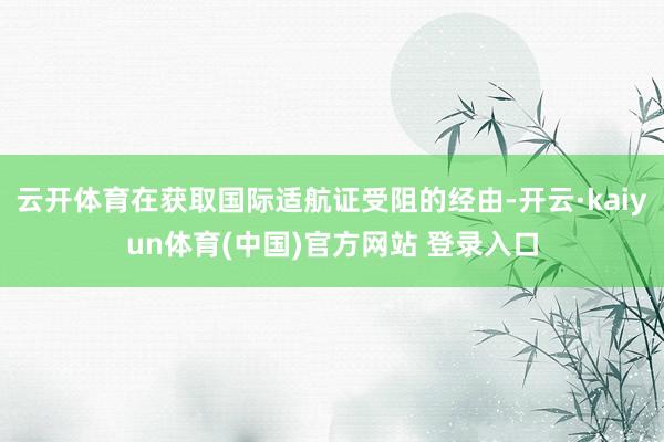 云开体育在获取国际适航证受阻的经由-开云·kaiyun体育(中国)官方网站 登录入口